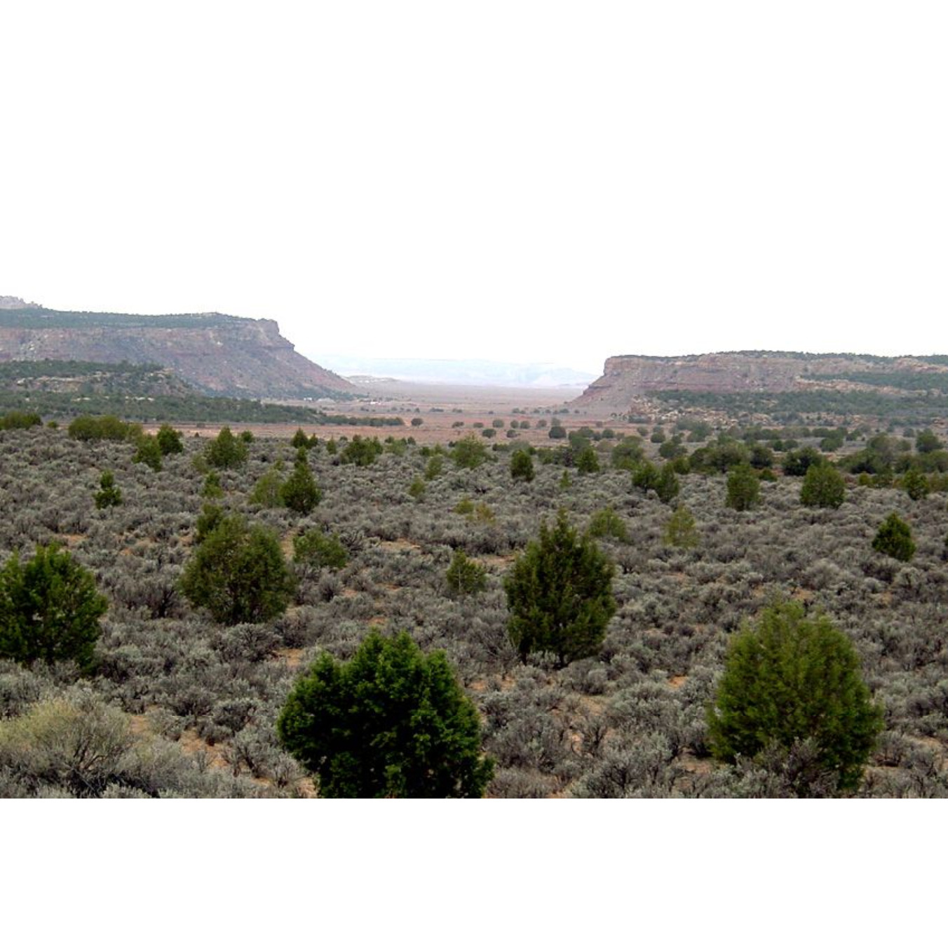 Canaan Gap