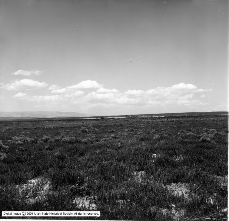 Terrace in 1967